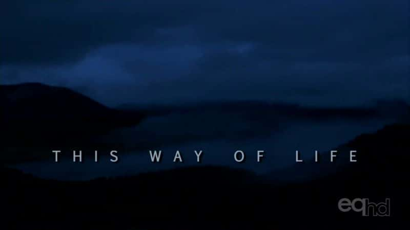 ¼Ƭʽ/This Way of Life-Ļ