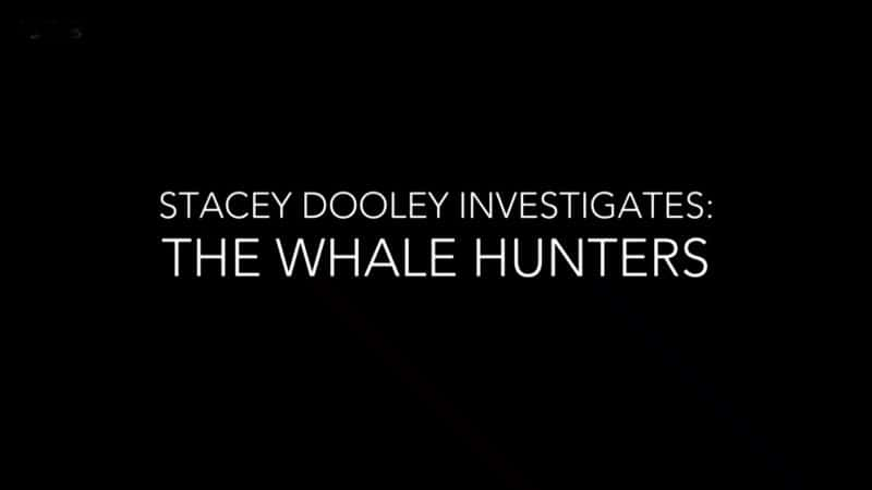 ¼Ƭ˹̩飺/Stacey Dooley Investigates: The Whale Hunters-Ļ