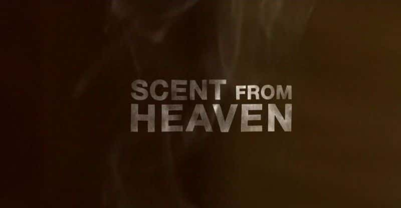 ¼Ƭ֮/Scent from Heaven-Ļ