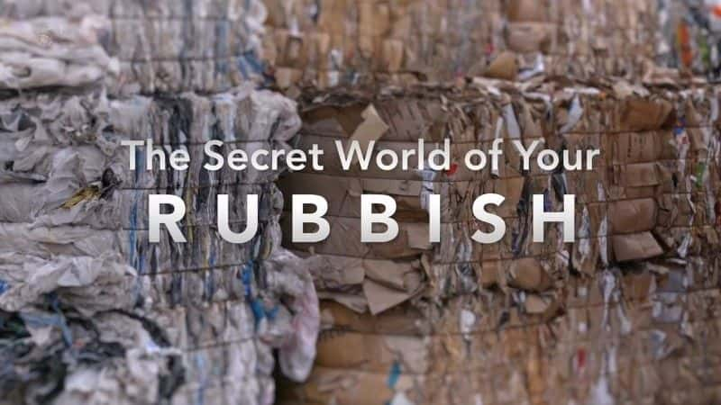 ¼Ƭ/The Secret World of Your Rubbish-Ļ