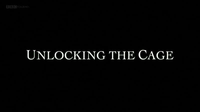 ¼Ƭ/Unlocking the Cage-Ļ