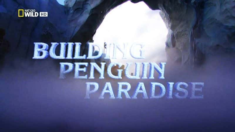 ¼Ƭ/Building Penguin Paradise-Ļ