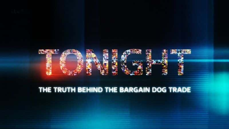 ¼Ƭ۹ױ/The Truth Behind the Bargain Dog Trade-Ļ