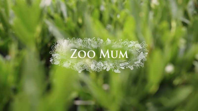 ¼Ƭ԰/Zoo Mum-Ļ