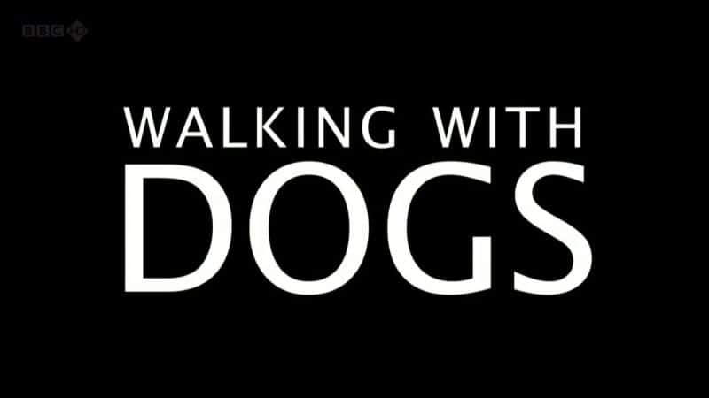 ¼Ƭ빷һɢ/Walking with Dogs-Ļ