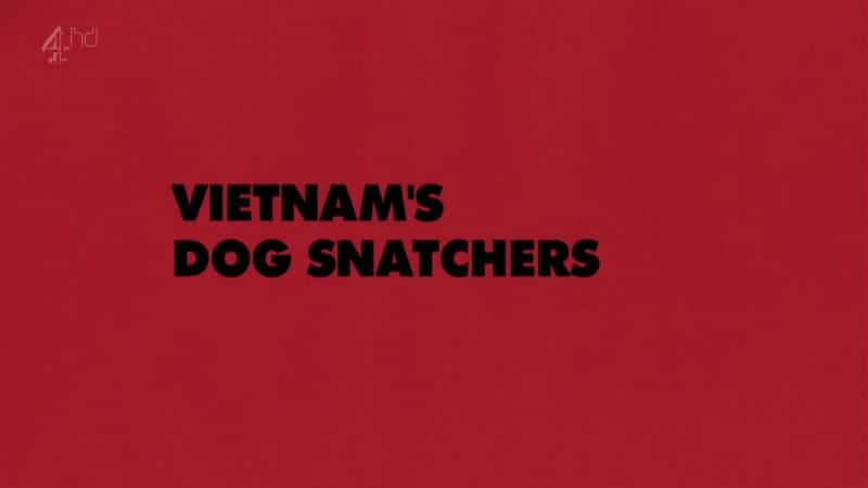 ¼ƬԽϵĹ/Vietnam's Dog Snatchers-Ļ