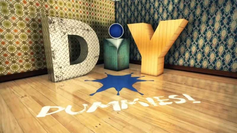 ¼ƬDIY׳/DIY Dummies-Ļ