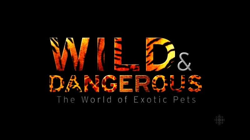 ¼ƬҰΣգ/Wild and Dangerous: The World of Exotic Pets-Ļ