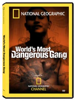 ¼ƬΣյİ/World's Most Dangerous Gang-Ļ