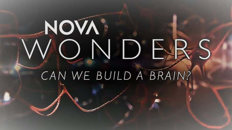 ¼ƬNOVA漣14֣ܽһ/NOVA Wonders Series 1 Part 4: Can We Build a Brain?-Ļ