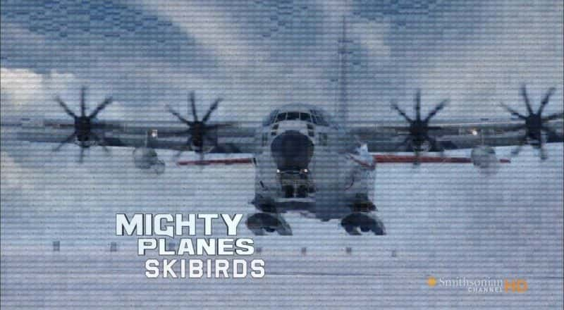 ¼Ƭѩ/Skibirds-Ļ