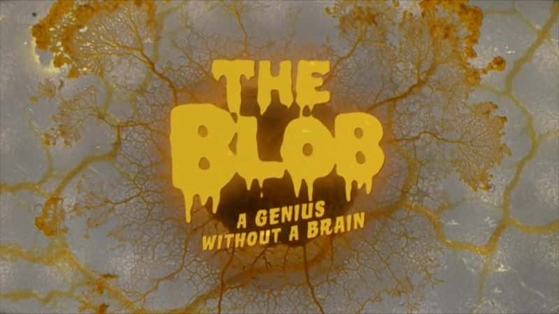 ¼ƬţBlob/The Blob: A Genius without a Brain-Ļ