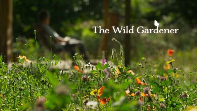 ¼ƬҰ԰/The Wild Gardener-Ļ