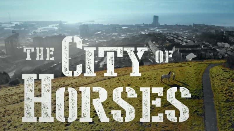 ¼Ƭ֮/The City of Horses-Ļ