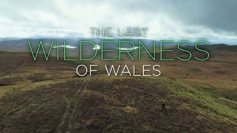 ¼Ƭ壺ʿҰ/Iolo: The Last Wilderness of Wales-Ļ