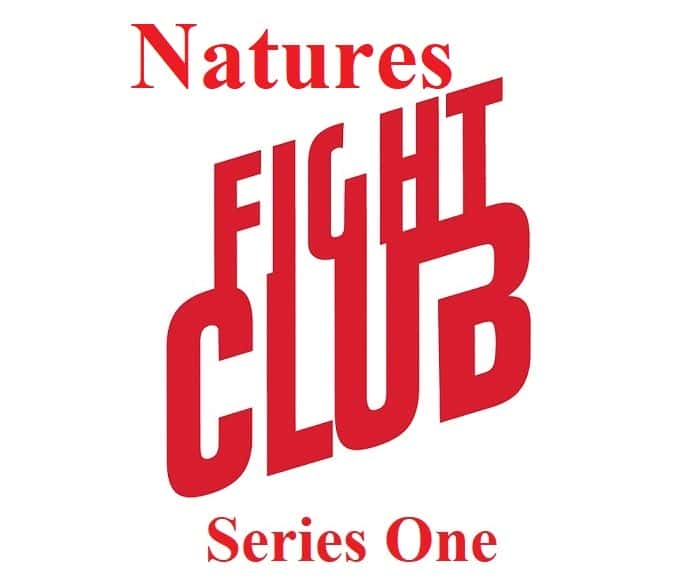 ¼ƬȻֲϵ1/Natures Fight Club: Series 1-Ļ