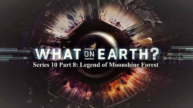 ¼Ƭ֮գ108֣¹ɭֵĴ˵/What on Earth Series 10 Part 8: Legend of Moonshine Forest-Ļ