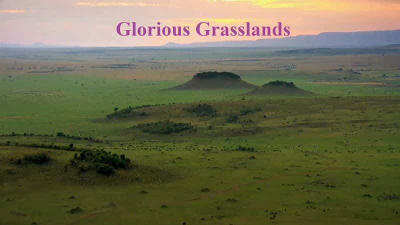 ¼ƬԻ͵Ĳԭ/Glorious Grasslands-Ļ