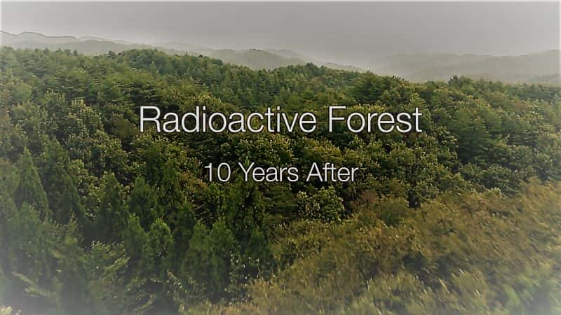 ¼Ƭɭ֣10/Radioactive Forest: 10 years after-Ļ