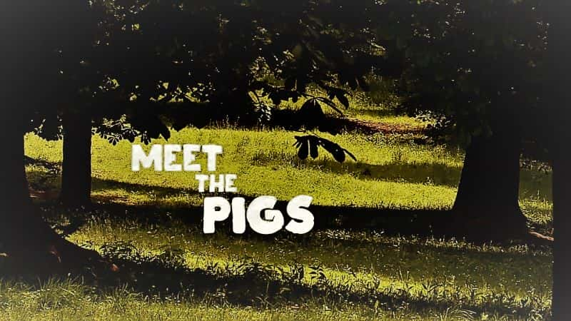 ¼Ƭ/Meet the Pigs-Ļ