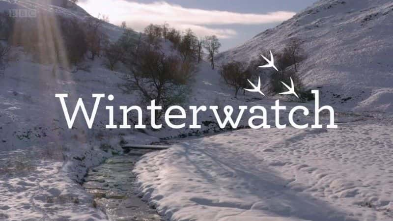 ¼ƬWinterwatch 2022/Winterwatch Extras 2022-Ļ