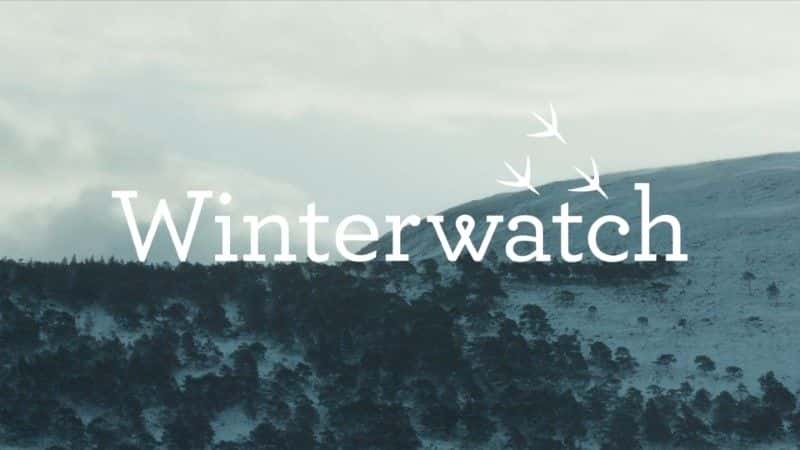 ¼Ƭ2022궬۲/Winterwatch 2022-Ļ