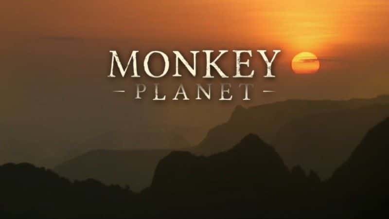 ¼Ƭ/Monkey Planet-Ļ