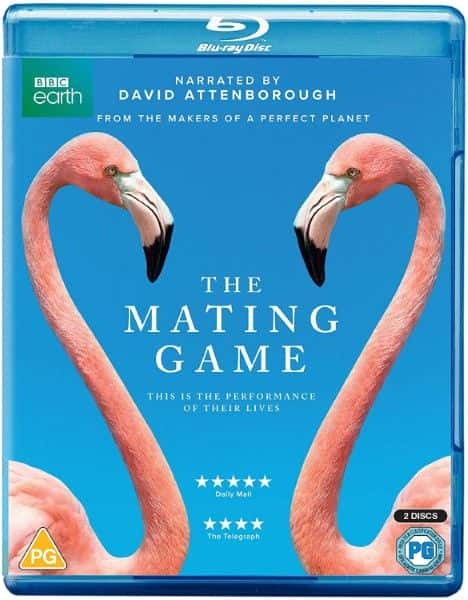 ¼ƬϷ/The Mating Game-Ļ