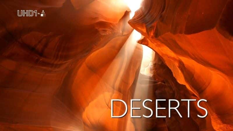 ¼ƬƶɳĮ/Moving Art: Deserts-Ļ