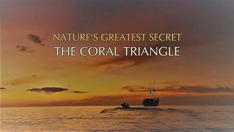 ¼ƬȻΰܣɺǵһ/Natures Greatest Secret the Coral Triangle Series 1-Ļ