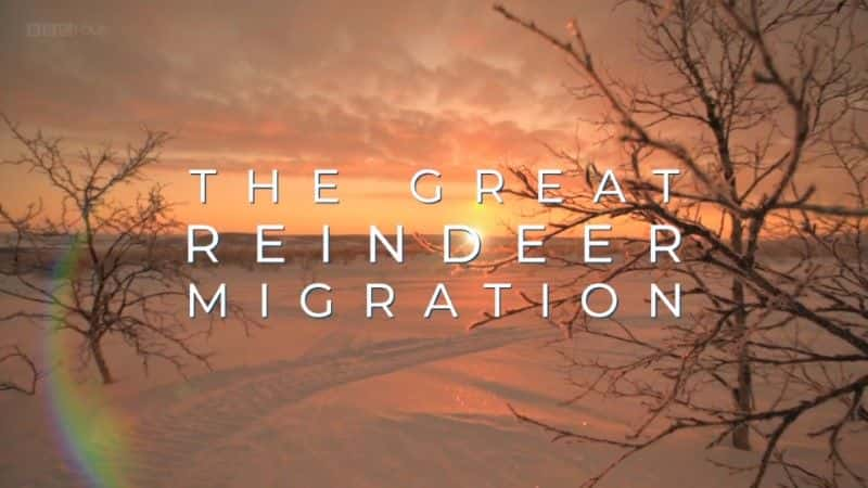 ¼Ƭȫϴѱ¹Ǩ/All Aboard: The Great Reindeer Migration-Ļ