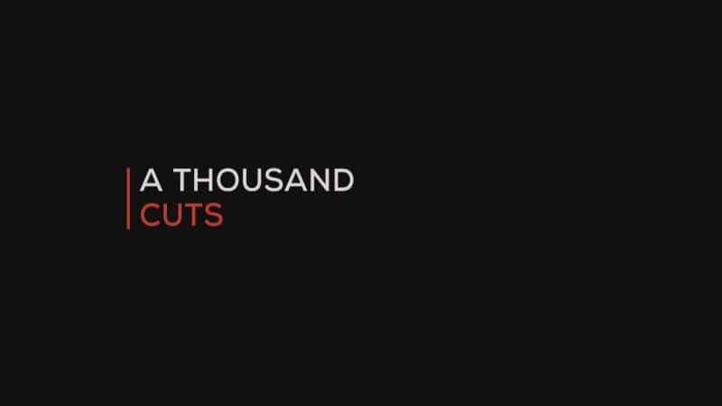 ¼Ƭǧ/A Thousand Cuts-Ļ