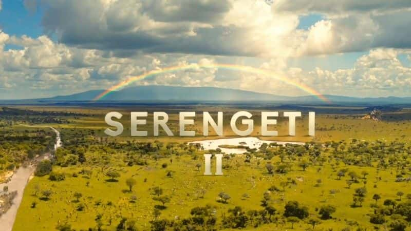 ¼Ƭ׸ǵII/Serengeti II-Ļ