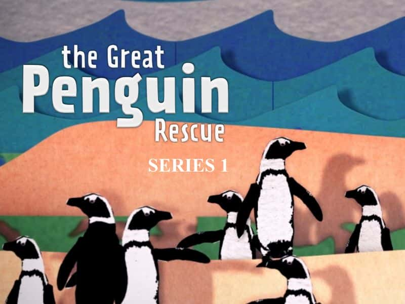 ¼ƬΰԮһ/The Great Penguin Rescue Series 1-Ļ