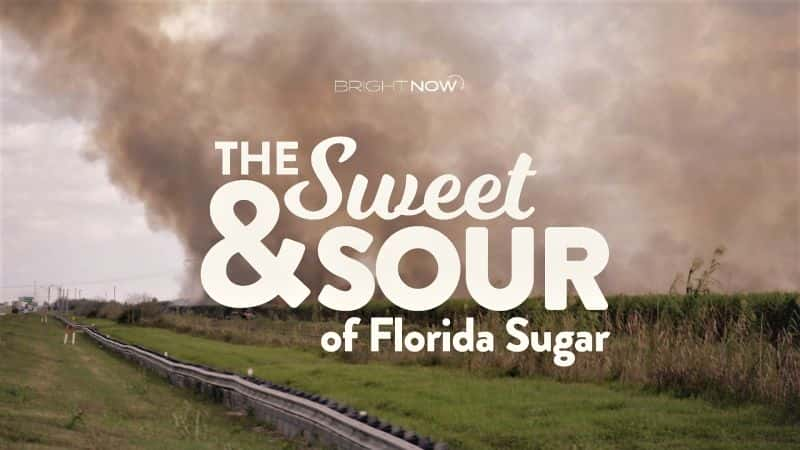 ¼Ƭڣǵ/Bright Now: The Sweet and Sour of Florida Sugar-Ļ