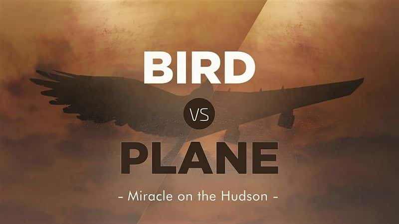 ¼ƬԷɻѷ漣/Bird vs. Plane: Miracle on the Hudson-Ļ