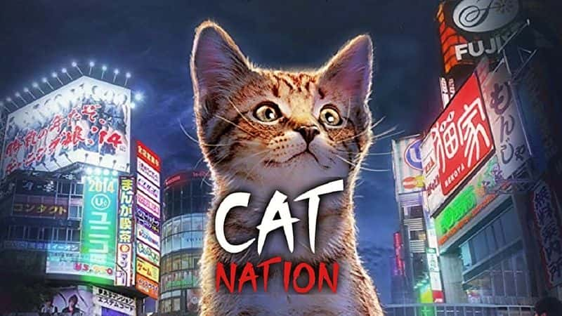 ¼Ƭè/Cat Nation-Ļ