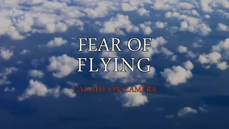 ¼Ƭ־/Fear of Flying-Ļ