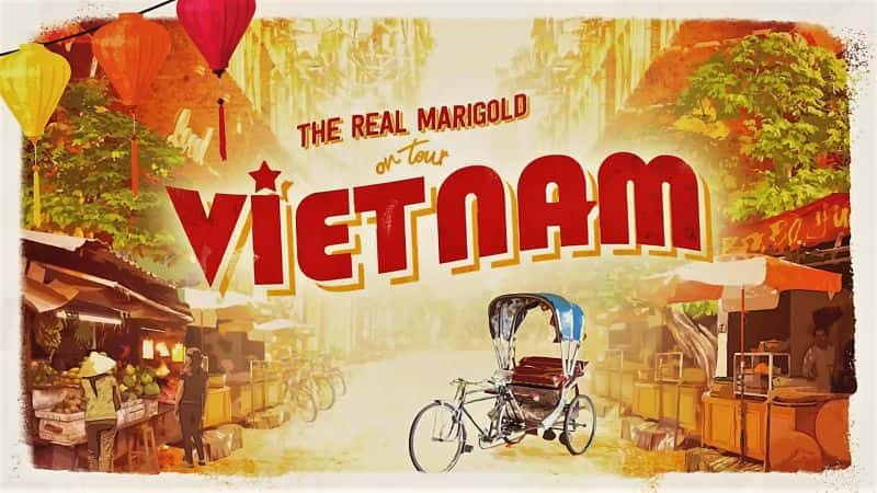 ¼ƬٻƵ֮ã3 Խ/The Real Marigold on Tour Series 3: Vietnam-Ļ