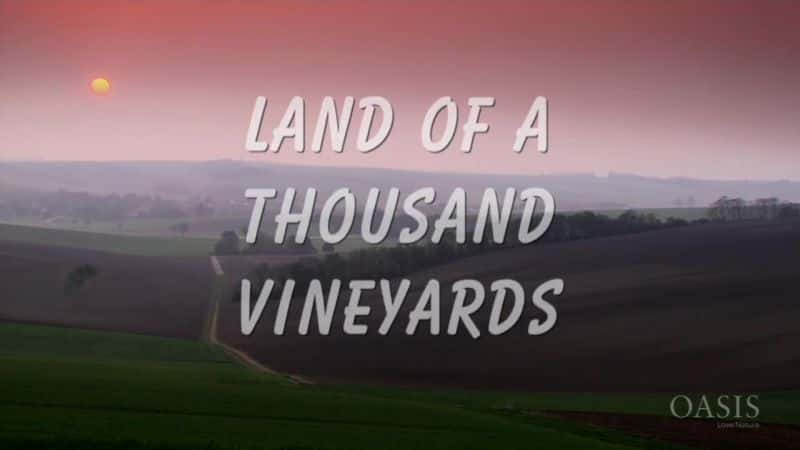 ¼Ƭǧ԰֮/Land of a Thousand Vineyards-Ļ