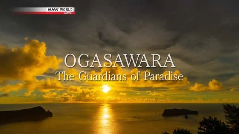 ¼ƬСԭõػ/Ogasawara: The Guardians of Paradise-Ļ