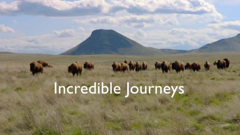 ¼Ƭɡһŵó/Incredible Journeys with Simon Reeve-Ļ