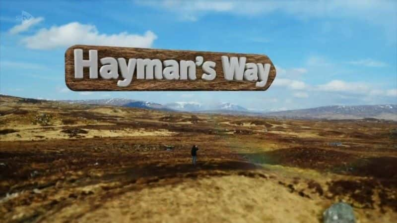 ¼Ƭ֮·رƪ/Hayman's Way Special-Ļ