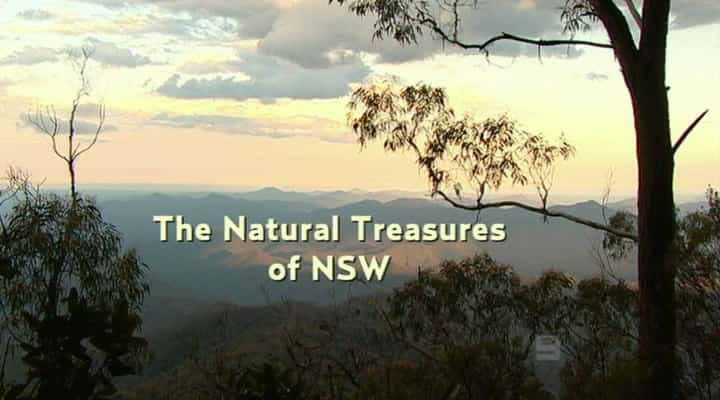 ¼ƬʿݵȻ/Natural Treasures of NSW-Ļ