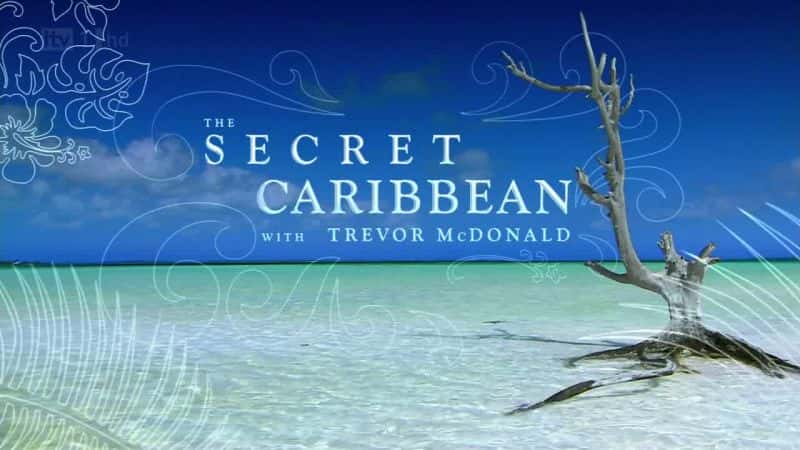 ¼ƬܵļձȺ/The Secret Caribbean-Ļ