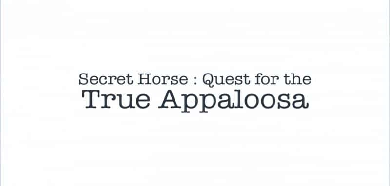 ¼ƬƥѰİ¬/Secret Horse: Quest for the True Appaloosa-Ļ