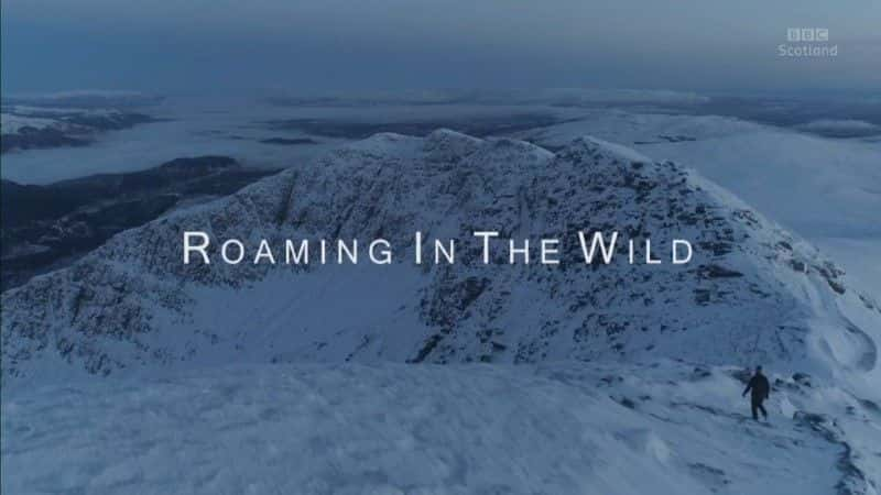 ¼ƬҰΣ˳Ÿ˹/Roaming in the Wild: Doon the Forth-Ļ