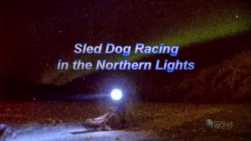 ¼Ƭеѩ/Sled Dog Racing in the Northern Lights-Ļ