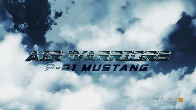 ¼Ƭʿϵ4P-51Ұ/Air Warriors Series 4: P-51 Mustang-Ļ