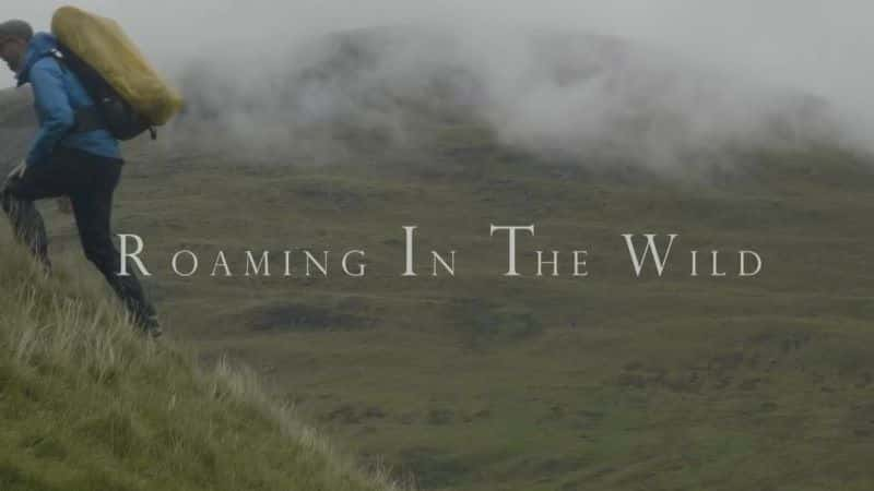 ¼ƬҰϵ2/Roaming in the Wild Series 2-Ļ